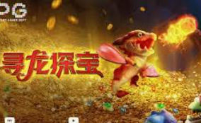 南宫app电脑免费版